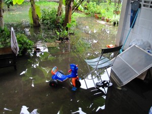 Flooded Patio
