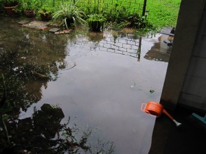 Flooded Gate