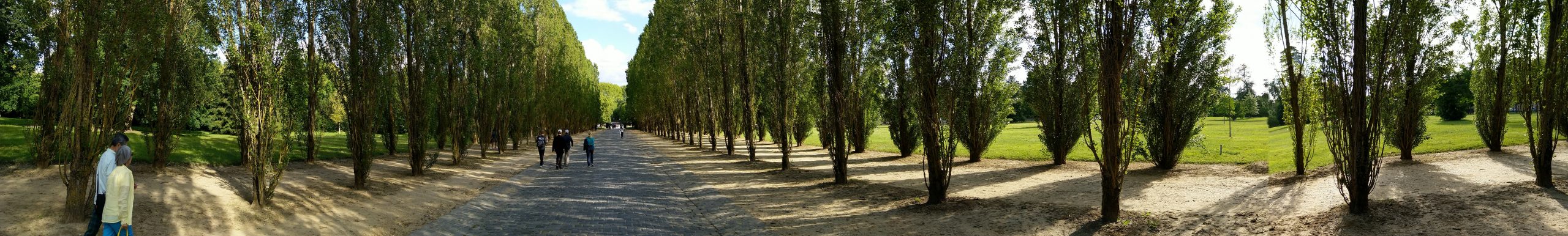 IMG_20190616_185011-1