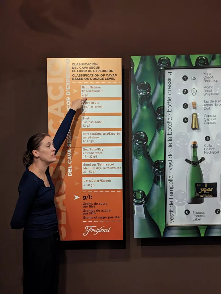 Guide pointing to cava poster