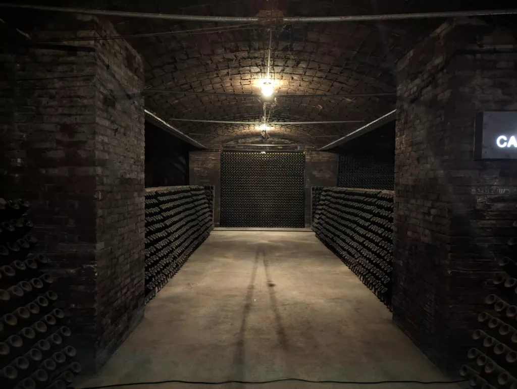 Wine cellar