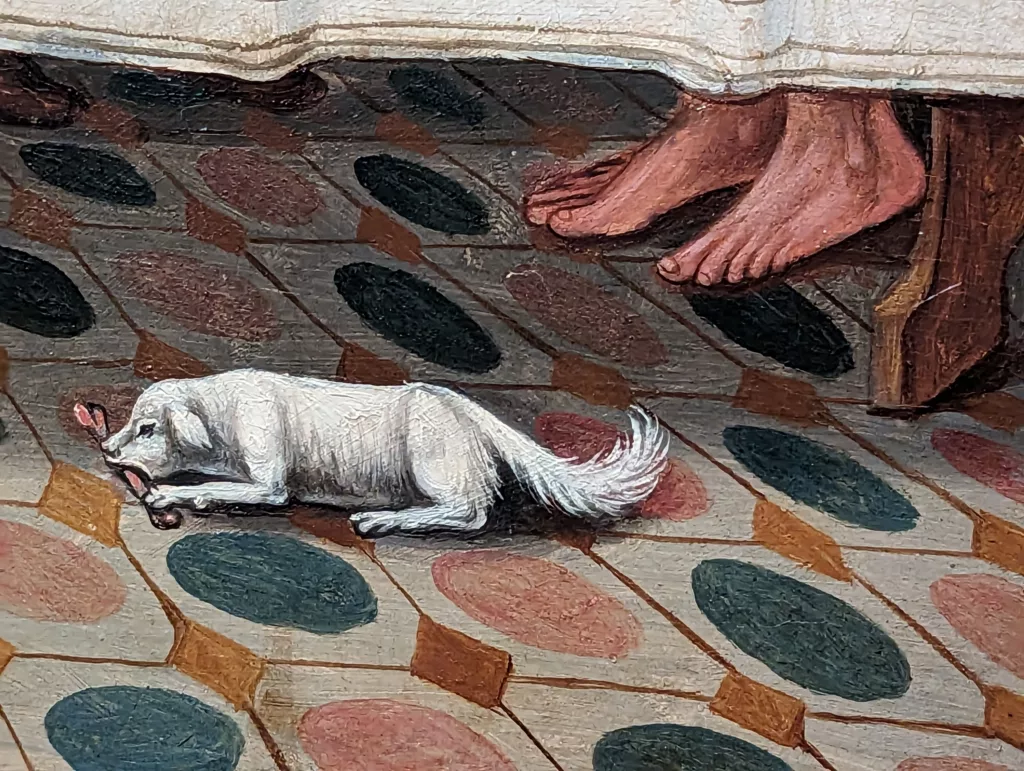 Dog eating bone
