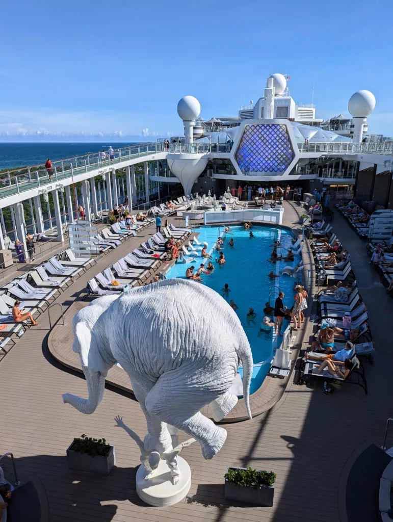 Elephant and pool