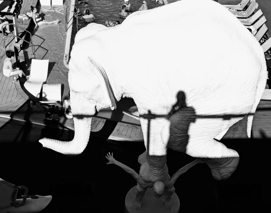 My shadow ob elephant B&W