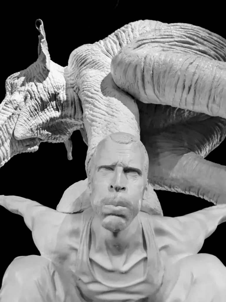 Elephant on man's back