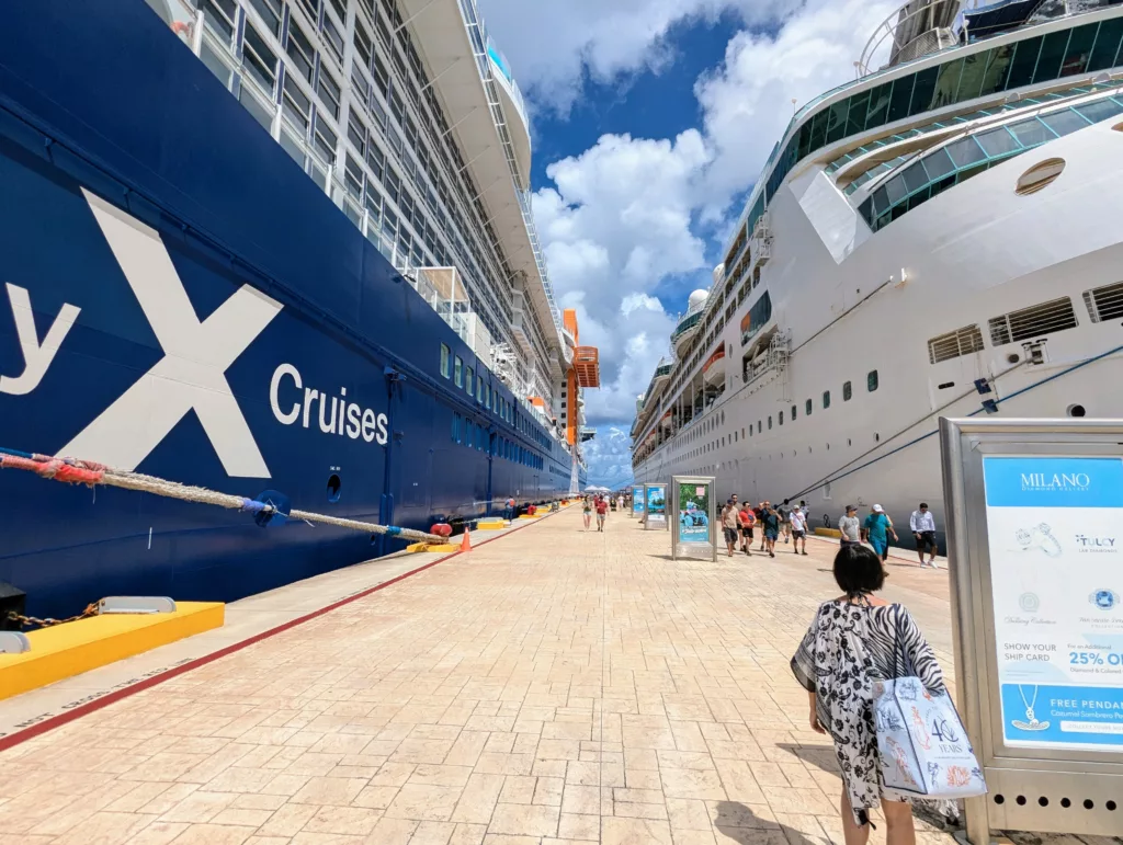 Two large ships at dock