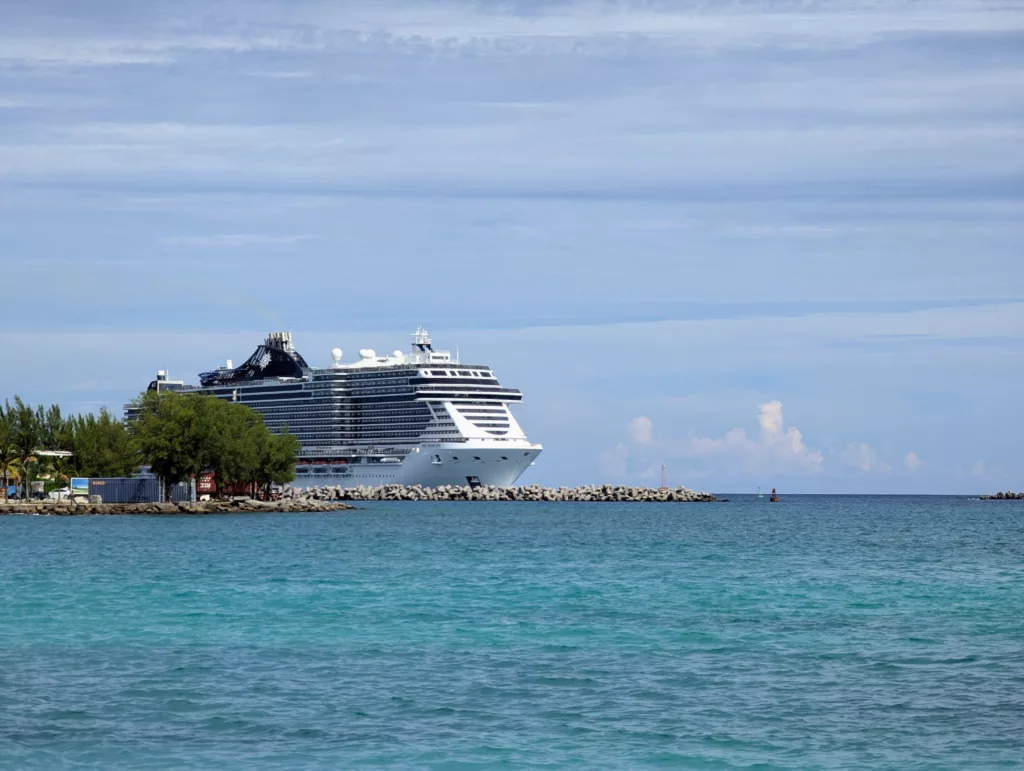 Large cruise liner