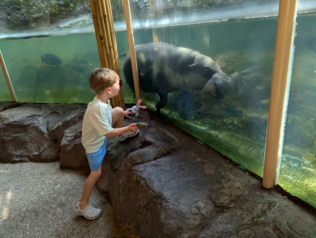 Child with hippo